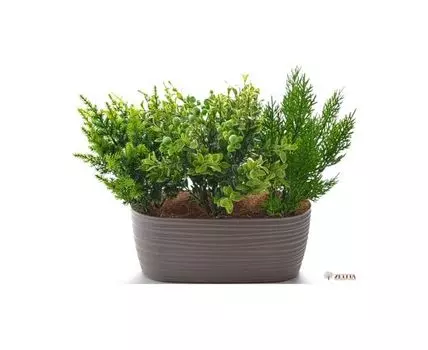 Композиция Юста