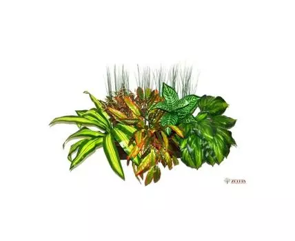 Композиция Мирелла