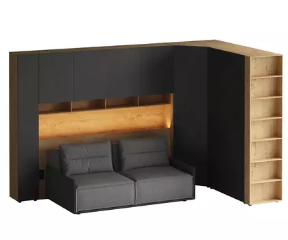 Композиция Modus 81