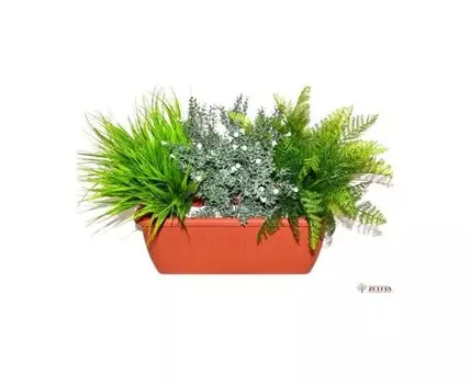 Композиция Риана