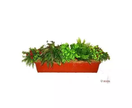 Композиция Танжелло