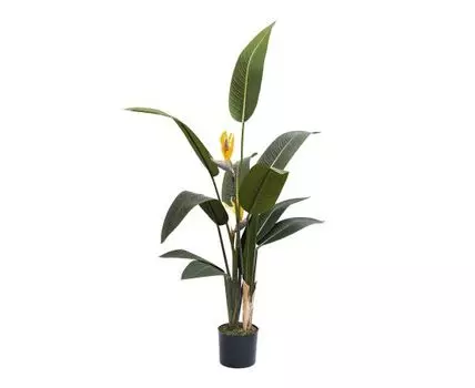 Куст стрелиции в горшке Garda Decor