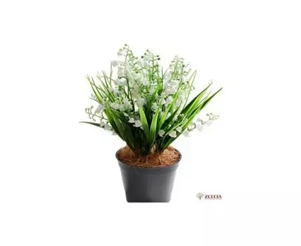 Ландыши Аирис