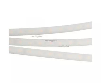 Лента герметичная RTW-PW-B60-13mm 24V Day4000 (14.4 W/m, IP66, 5060, 5m) (ARL, -)