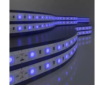 Лента светодиодная 24V 14,4W 60Led 5050 IP20 синий, 5м