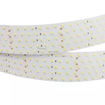 Лента светодиодная Arlight RT 2-2500 24V White6000 5x2 (2835, 875 LED, LUX) 019082(B)