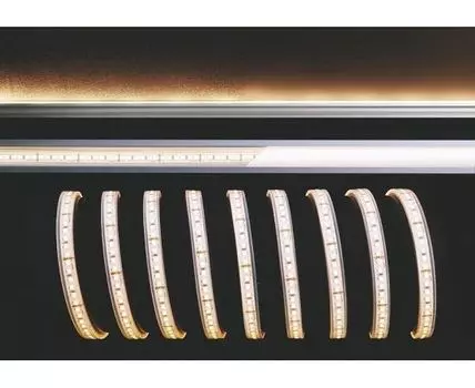 Лента светодиодная Deko-Light 840187