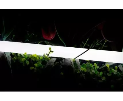 Лента светодиодная неоновая 360 SWG PRO