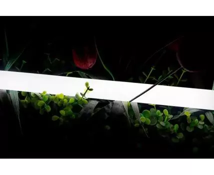 Лента светодиодная неоновая 360 SWG PRO