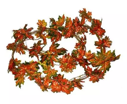 Лиана Берта