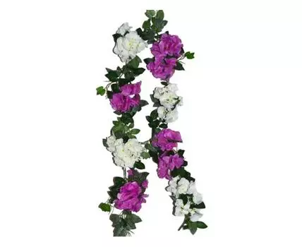 Лиана Гортензия Дорис