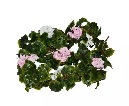 Лиана Гортензия Зося