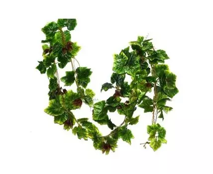 Лиана Хмель