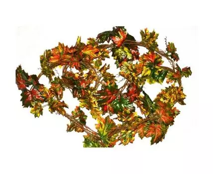 Лиана Летти