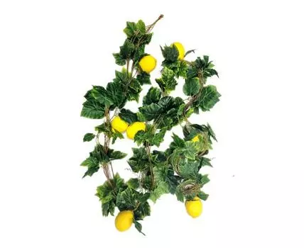 Лиана Лимон