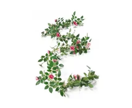 Лиана роза Ларс