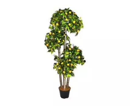 Лимон Джорджи