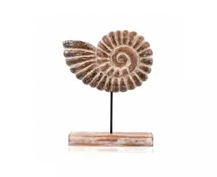Лофт декор, ракушка АВРАН (Коричневый, 7)
