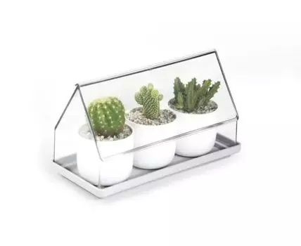 Лоток Micro Green House