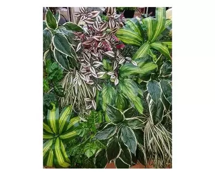 Лубберса 1кв.м