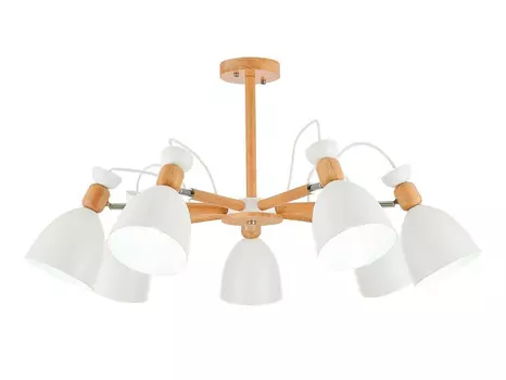 Люстра потолочная EVOLUCE