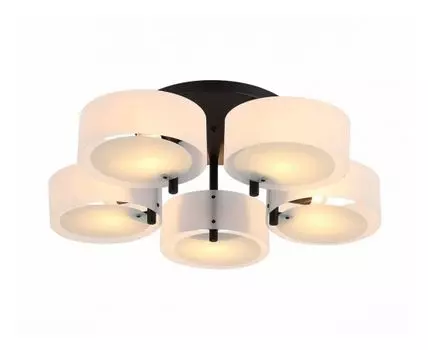 Люстра потолочная EVOLUCE (Белый)