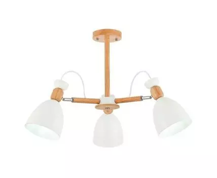 Люстра потолочная EVOLUCE