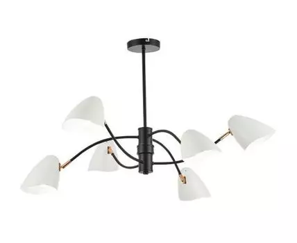 Люстра потолочная EVOLUCE (Черный)