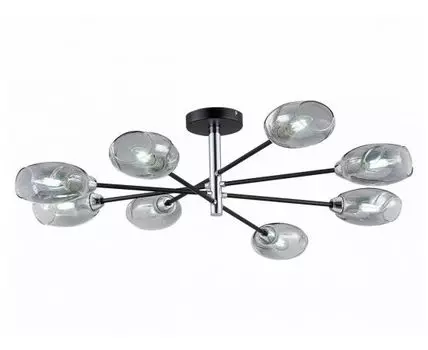 Люстра потолочная EVOLUCE (Черный)