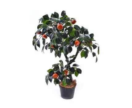 Мандарин Мэй