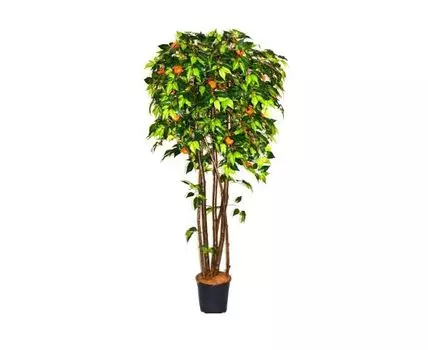 Мандарин Свеллоу