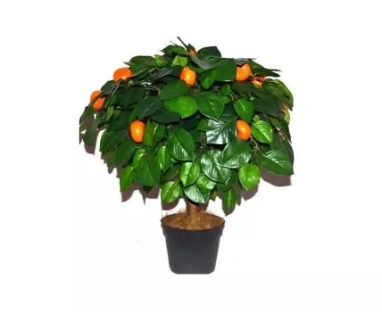 Мандариновый шар Микки