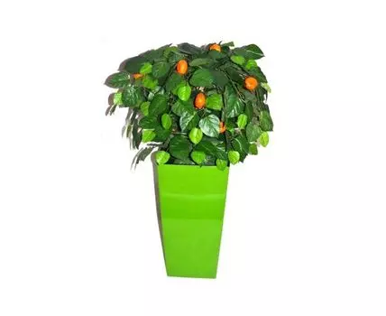 Мандариновый шар Микки