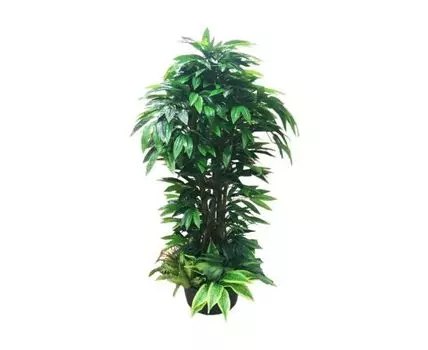 Манго с зеленью Latex в