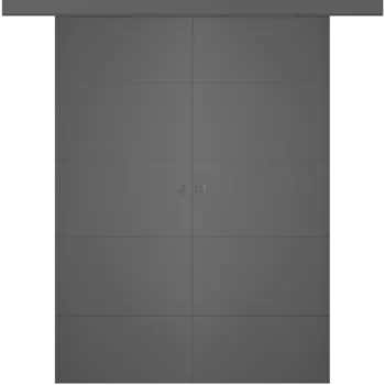Межкомнатная дверь Arvika Купе двойное Эмаль графит 2,0х0,8