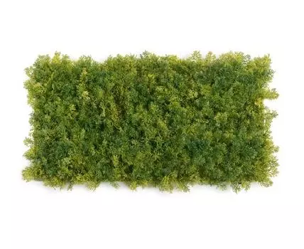 Мох Ягель коврик