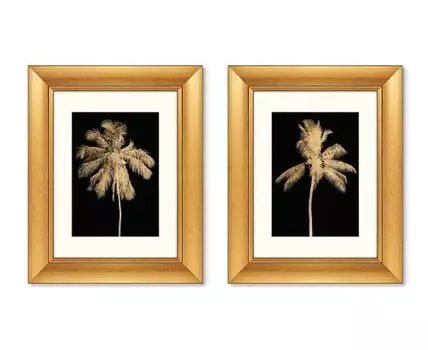 Набор из 2-х репродукций картин в раме Golden Palms (Белый, 40,5)