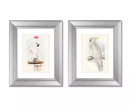 Набор из 2-х репродукций картин в раме Белый какаду, литография, 1855г. (мультиколор, 40,5)