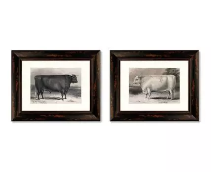 Набор из 2-х репродукций картин в раме A Devon bull, 1849г. (темно-коричневый, 50,5)