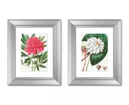 Набор из 2-х репродукций картин в раме Peony, 1773г. (мультиколор, 40,5)