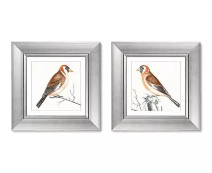 Набор из 2-х репродукций картин в раме Goldfinches, 1698г. (мультиколор, 35,5)