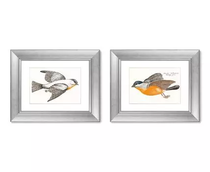 Набор из 2-х репродукций картин в раме Gray Fluff Tits, 1688г. (мультиколор, 50,5)