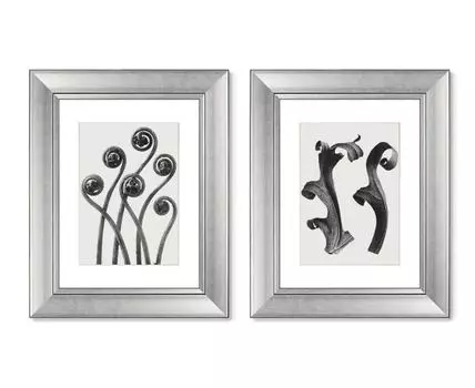 Набор из 2-х репродукций картин в раме Compass Plant, 1928г. (мультиколор, 40,5)