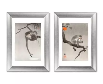 Набор из 2-х репродукций картин в раме Monkey in cockatoo, 1914г. (мультиколор, 50,5)