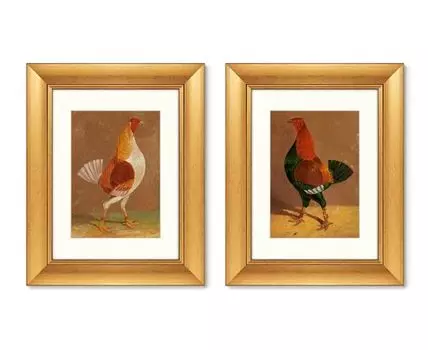 Набор из 2-х репродукций картин в раме Fighting Cocks, 1829г. (II). (золотистый, 40,5)