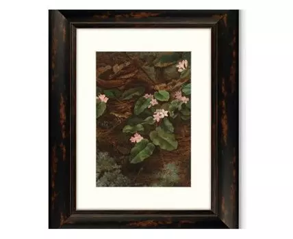 Набор из 2-х репродукций картин в раме Trailing Arbutus, 1863г. (темно-коричневый, 40,5)