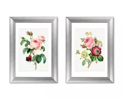 Набор из 2-х репродукций картин в раме Antique plants drawn №4, 1802г. (мультиколор, 50,5)