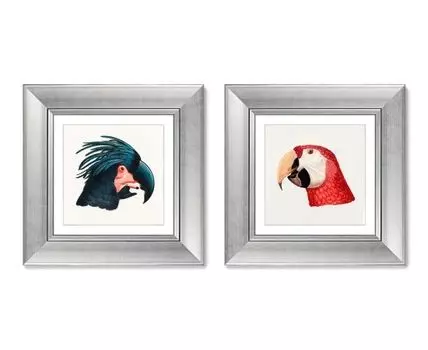 Набор из 2-х репродукций картин в раме Ara Canga, male, 1803г. (мультиколор, 35,5)