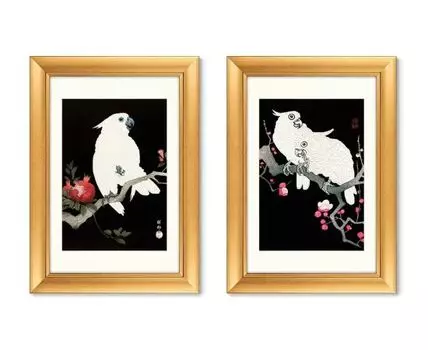 Набор из 2-х репродукций картин в раме Cockatoo and pomegranate, 1925г. (золотистый, 50,5)