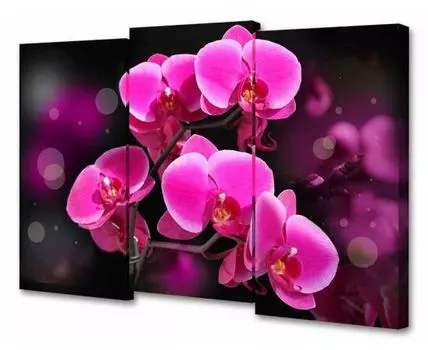 Набор из 3 картин TopLight TL-M TL-M2074